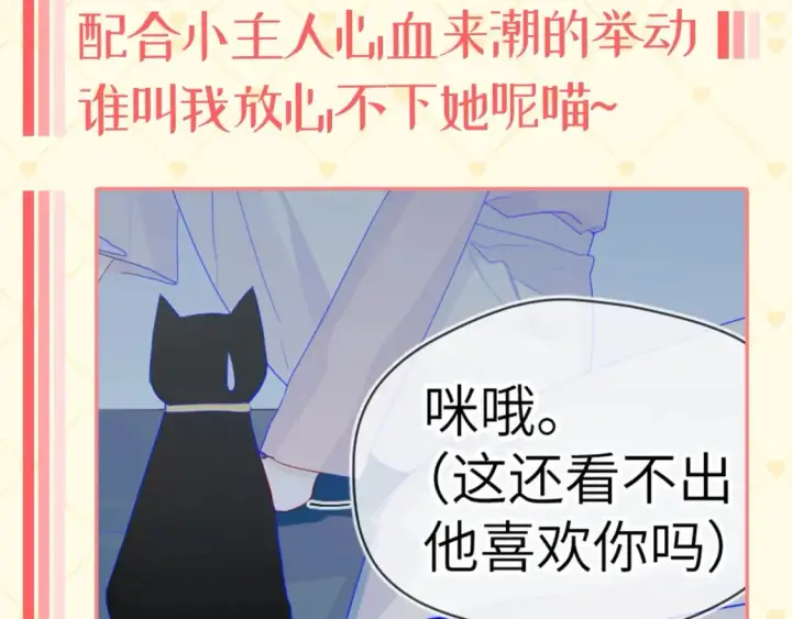 漫画《星辰于我》第40期  特别企划：猫猫仙贝的悠闲生活第9张图