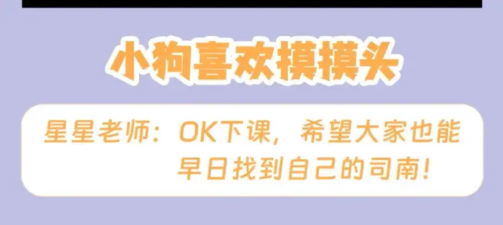 漫画《星辰于我》第133期 搞点事：如何捕捉一只成年司南？第19张图
