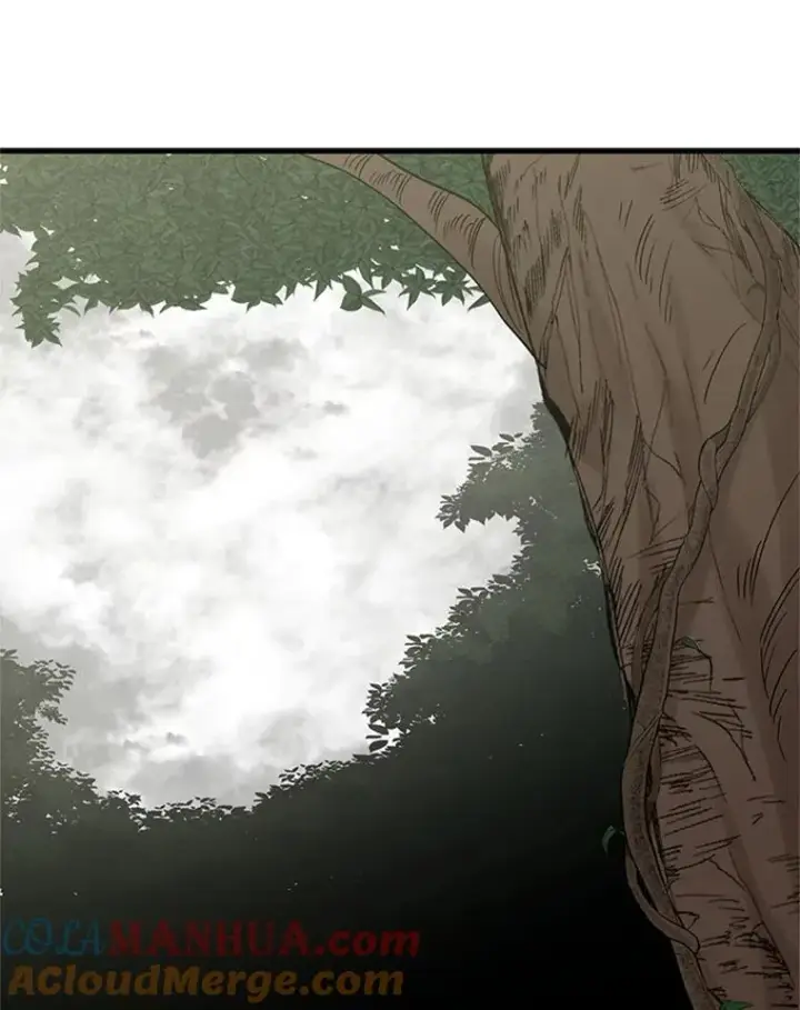 漫画《新手关卡太难了》53.密林（2）第13张图