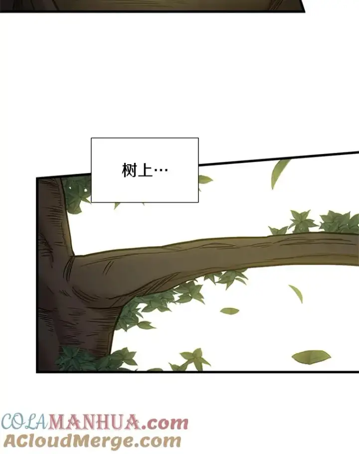 漫画《新手关卡太难了》53.密林（2）第73张图