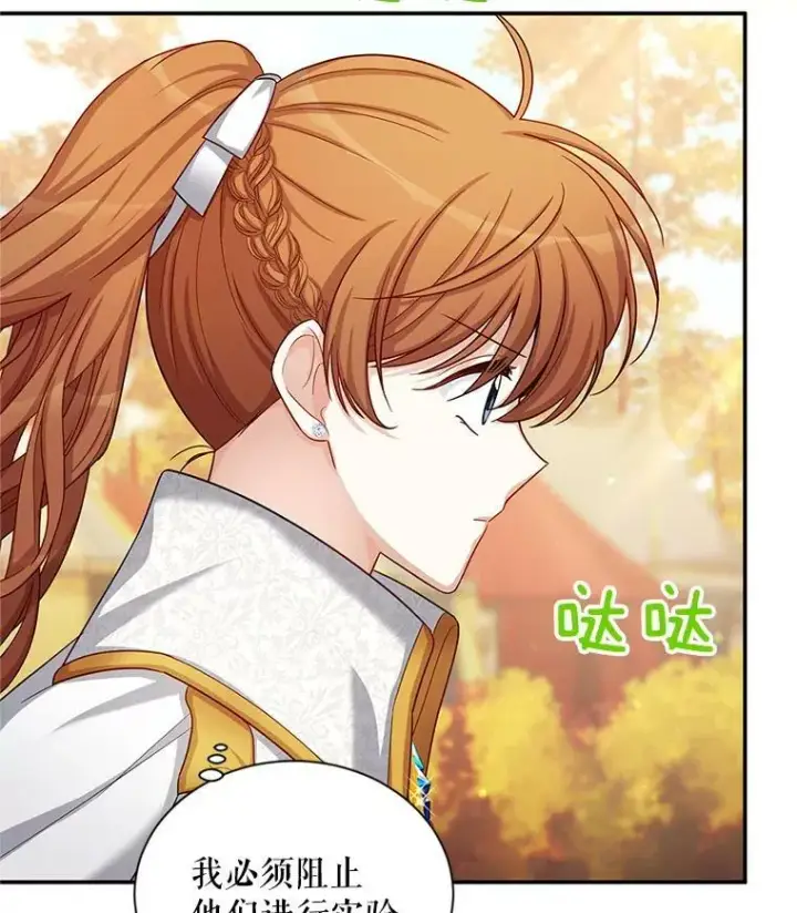 漫画《虚名的公爵之妻》86.改过自新的机会第74张图