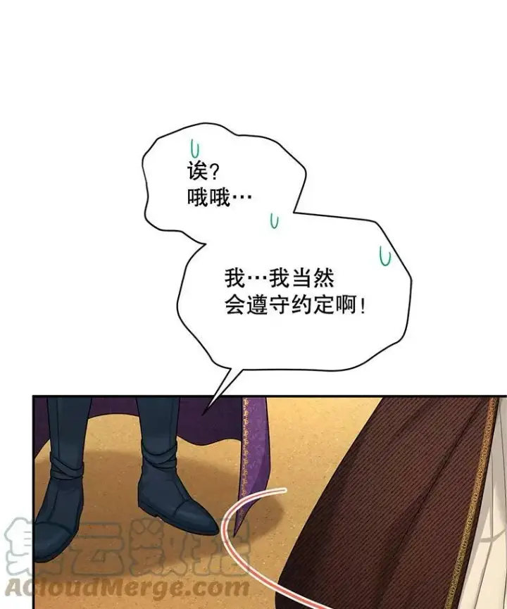 漫画《虚名的公爵之妻》87.初次见面第73张图