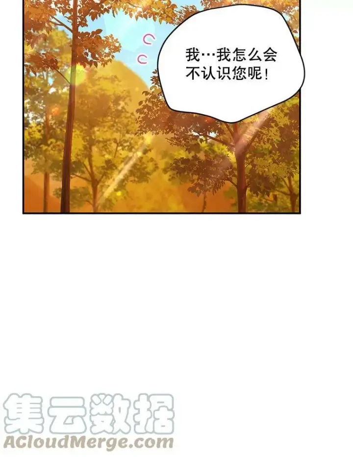 漫画《虚名的公爵之妻》87.初次见面第9张图