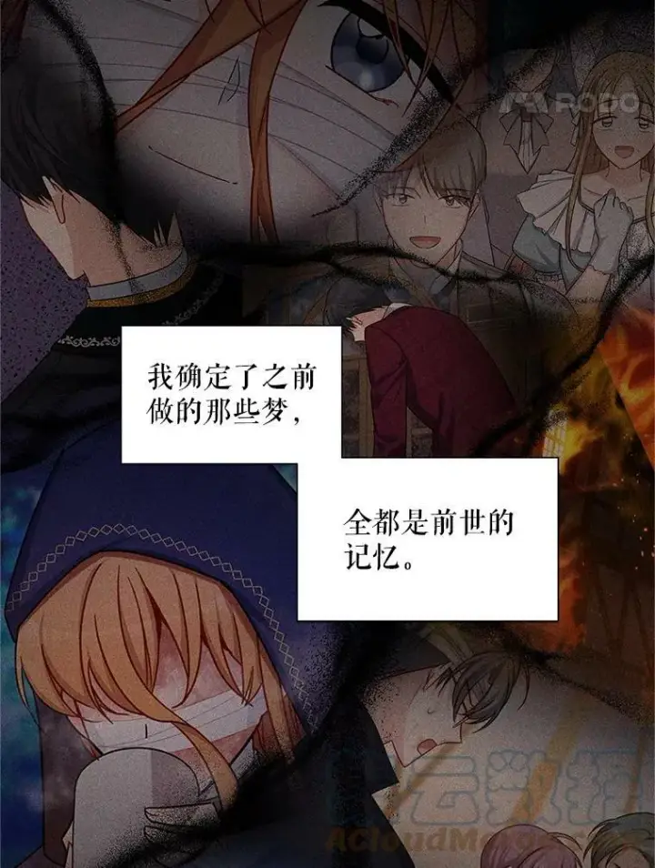 漫画《虚名的公爵之妻》95.前世今生第49张图