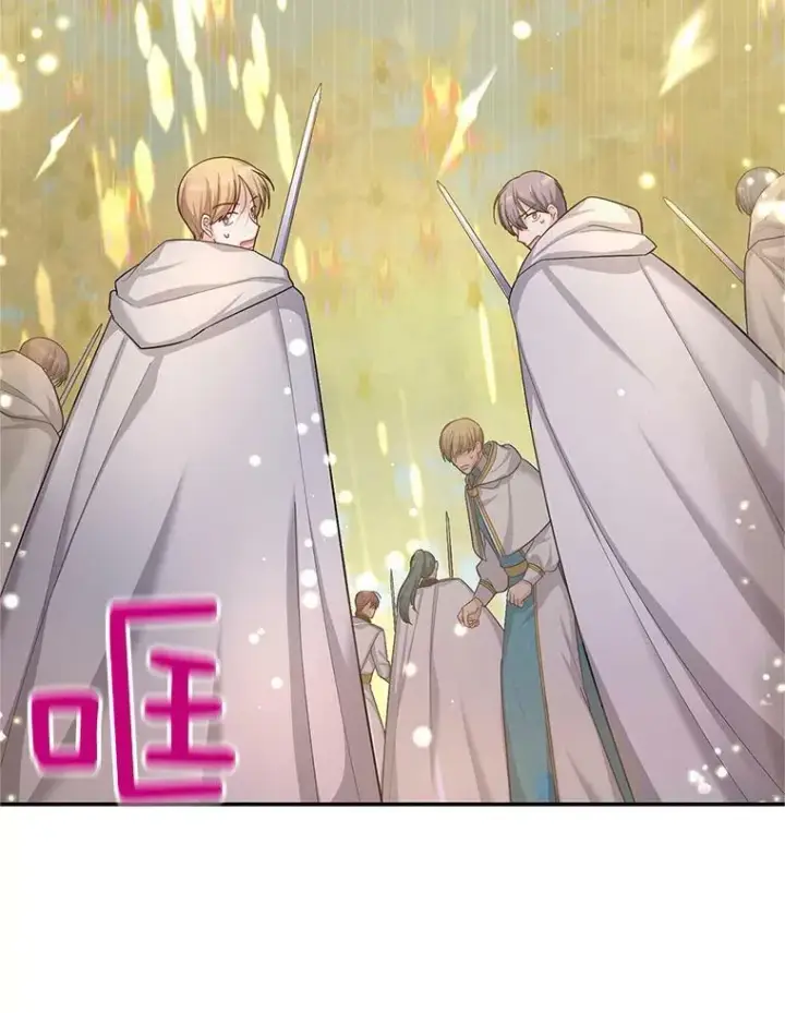 漫画《虚名的公爵之妻》96.黄金召唤师的回归第86张图