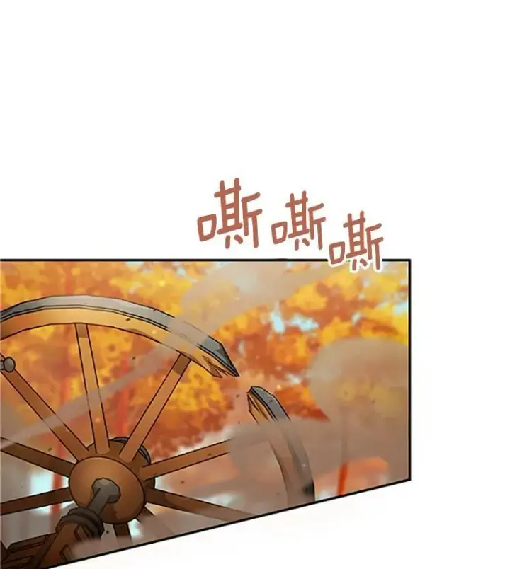 漫画《虚名的公爵之妻》102.遇袭第87张图