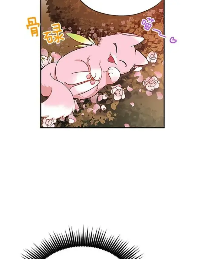 漫画《虚名的公爵之妻》9.契约婚姻第36张图