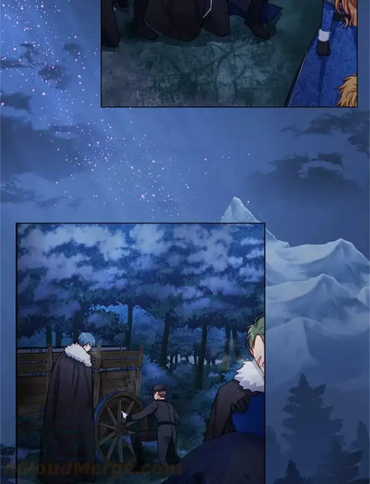 漫画《虚名的公爵之妻》30.晕倒第65张图