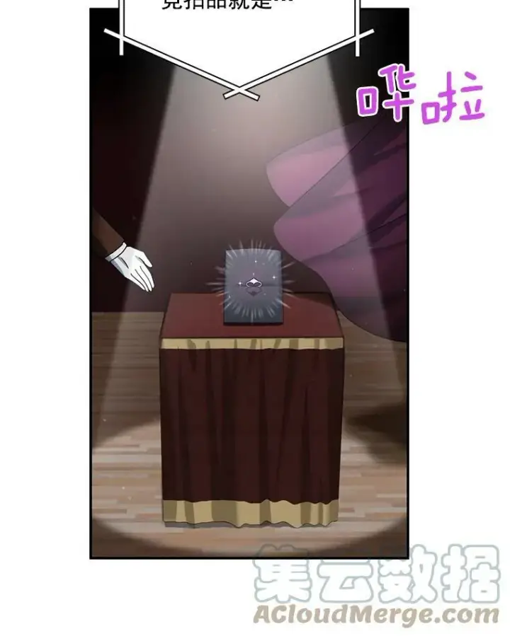 漫画《虚名的公爵之妻》34.参与拍卖第17张图