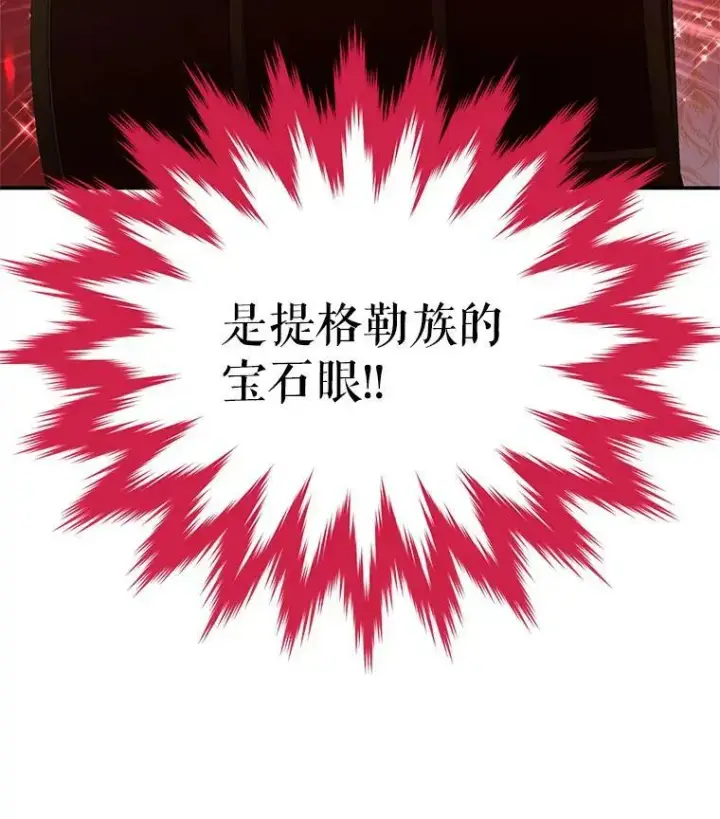 漫画《虚名的公爵之妻》35.妈妈的胸针第107张图
