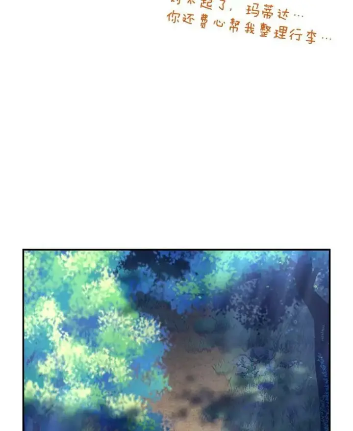漫画《虚名的公爵之妻》39.进入古魔法王国第10张图
