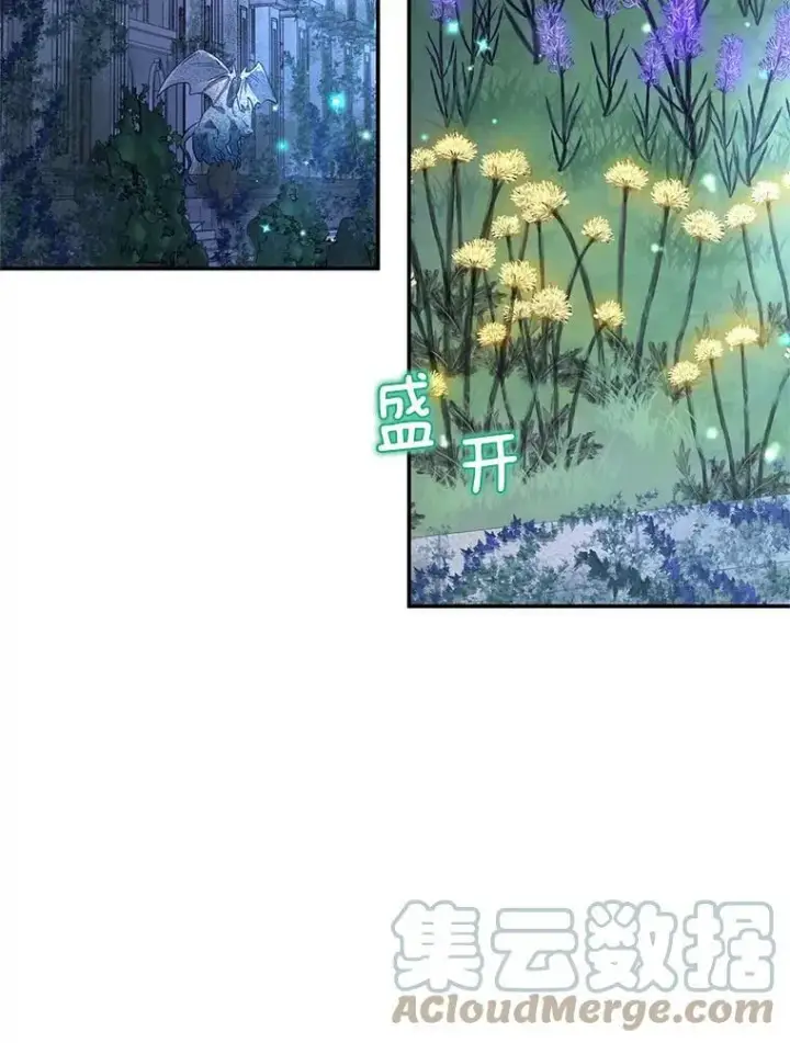 漫画《虚名的公爵之妻》39.进入古魔法王国第37张图