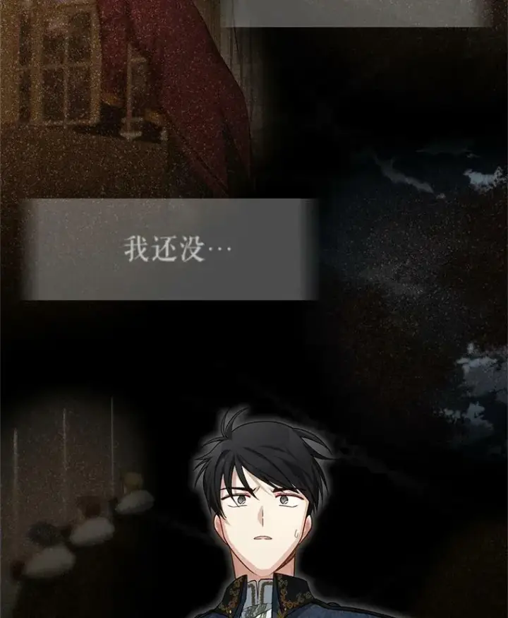 漫画《虚名的公爵之妻》41.希望她能幸福第96张图