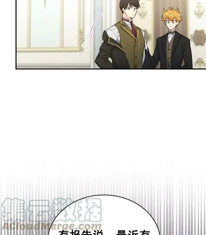 漫画《虚名的公爵之妻》48.奇怪的传染病第41张图