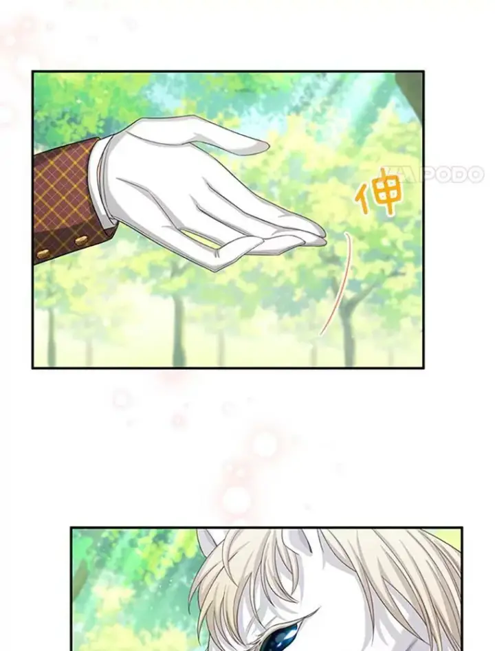 漫画《虚名的公爵之妻》72.来自波特家的一封信第29张图