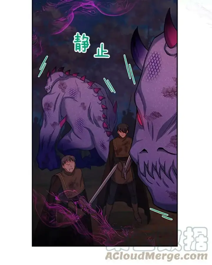 漫画《虚名的公爵之妻》78.夜袭魔兽村第65张图