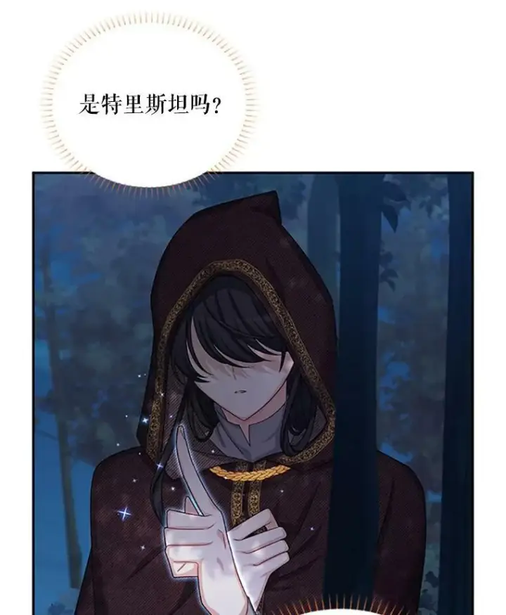 漫画《虚名的公爵之妻》79.单独行动第107张图