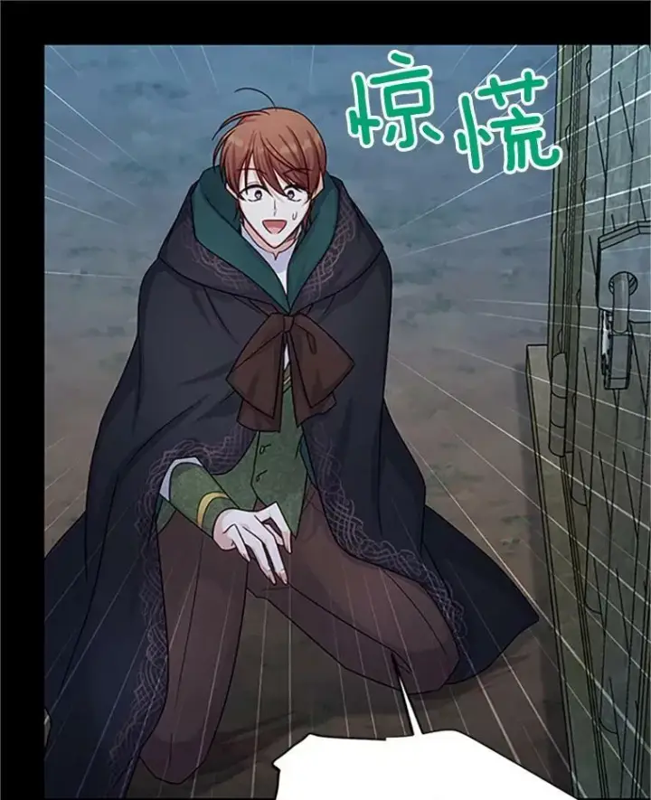 漫画《虚名的公爵之妻》103.神秘人再出现第106张图