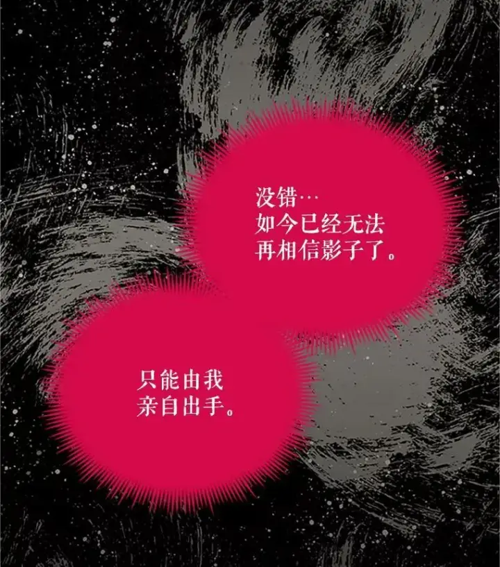 漫画《虚名的公爵之妻》103.神秘人再出现第87张图