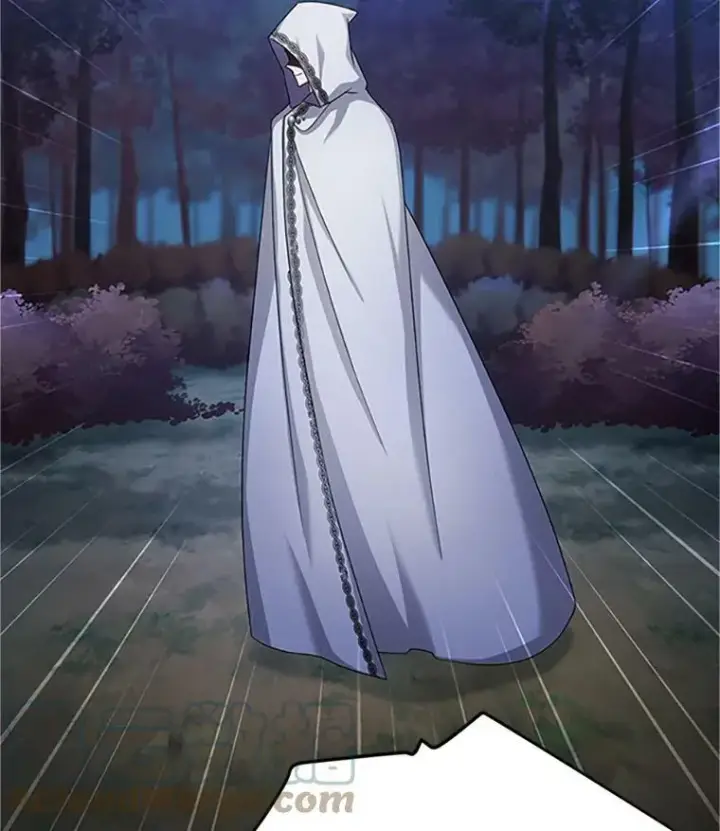 漫画《虚名的公爵之妻》103.神秘人再出现第97张图