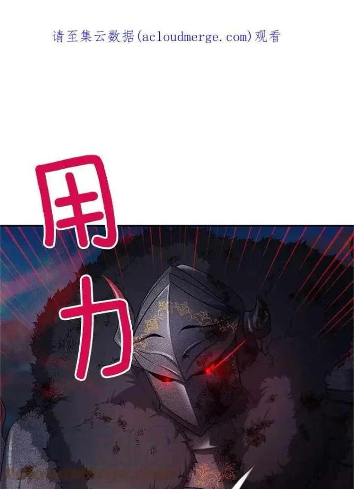 漫画《虚名的公爵之妻》110.总司令现身第121张图
