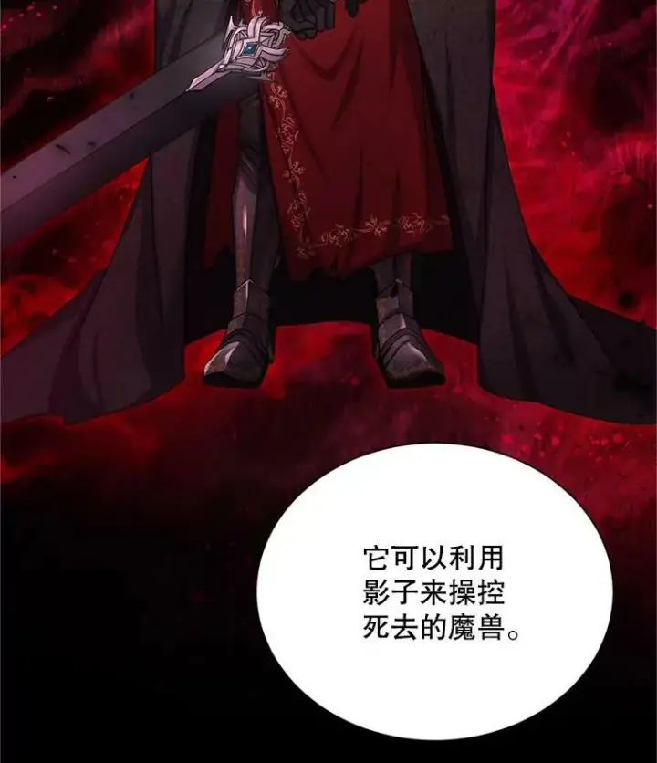 漫画《虚名的公爵之妻》110.总司令现身第28张图