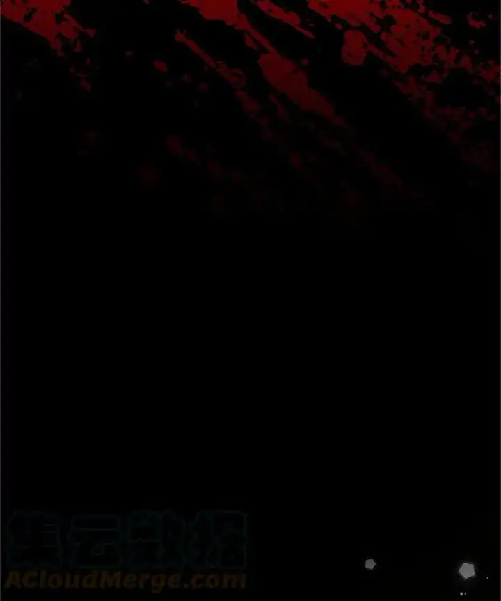 漫画《虚名的公爵之妻》114.神秘人的身份（本季完）第25张图
