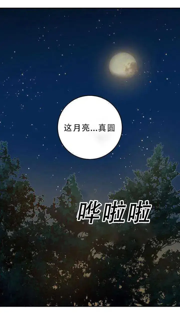 漫画《驯服暴君后逃跑了》31.舞会（2）第68张图