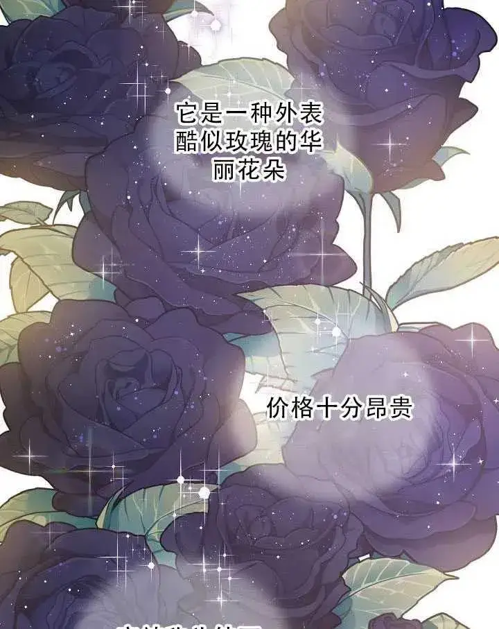 漫画《驯服暴君后逃跑了》32.黑玫瑰第2张图