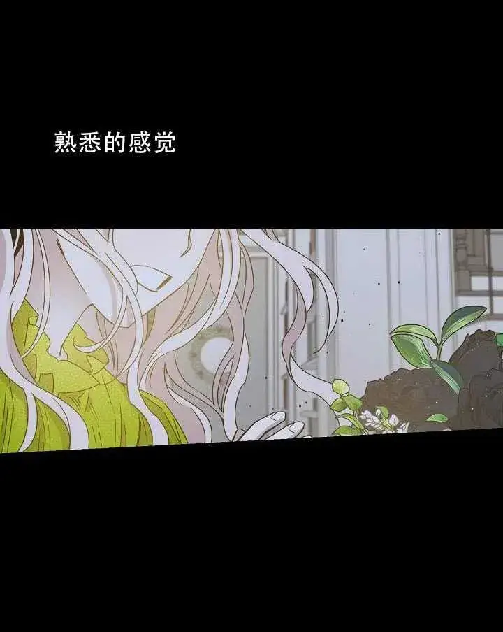 漫画《驯服暴君后逃跑了》32.黑玫瑰第26张图