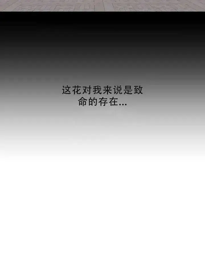 漫画《驯服暴君后逃跑了》32.黑玫瑰第28张图