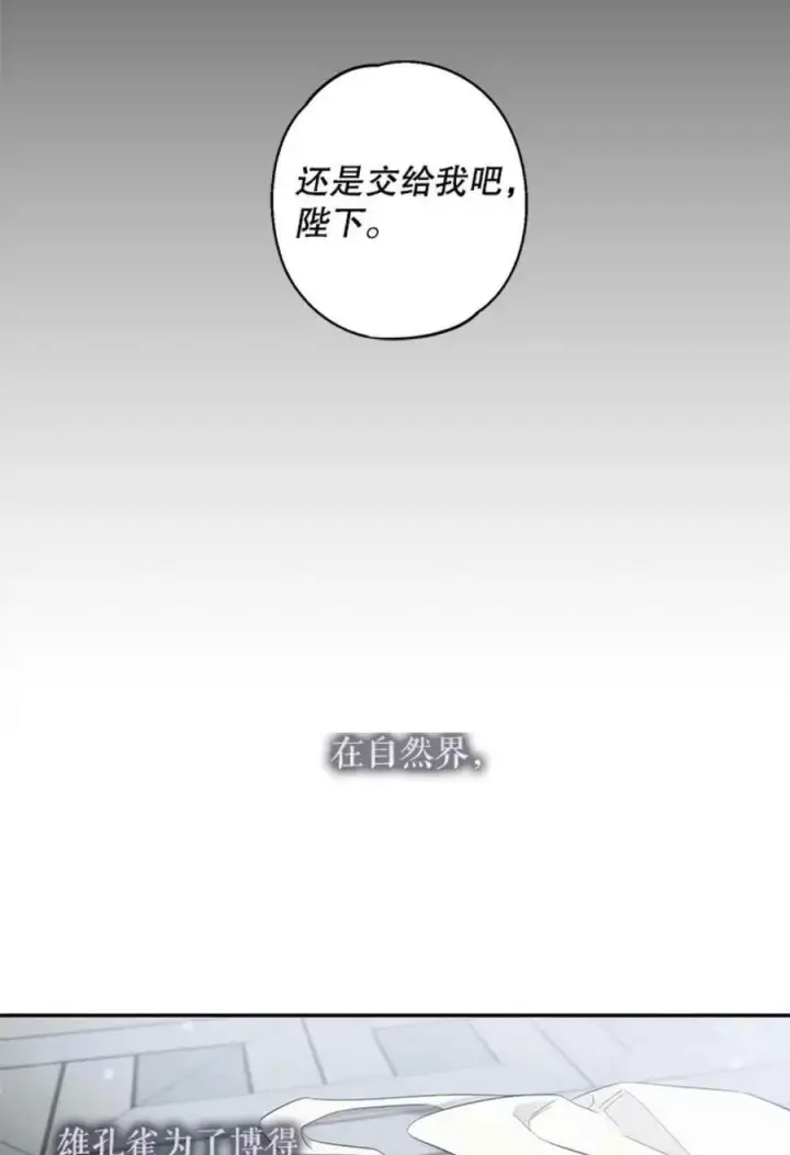 漫画《驯服暴君后逃跑了》41.新皇继位第42张图