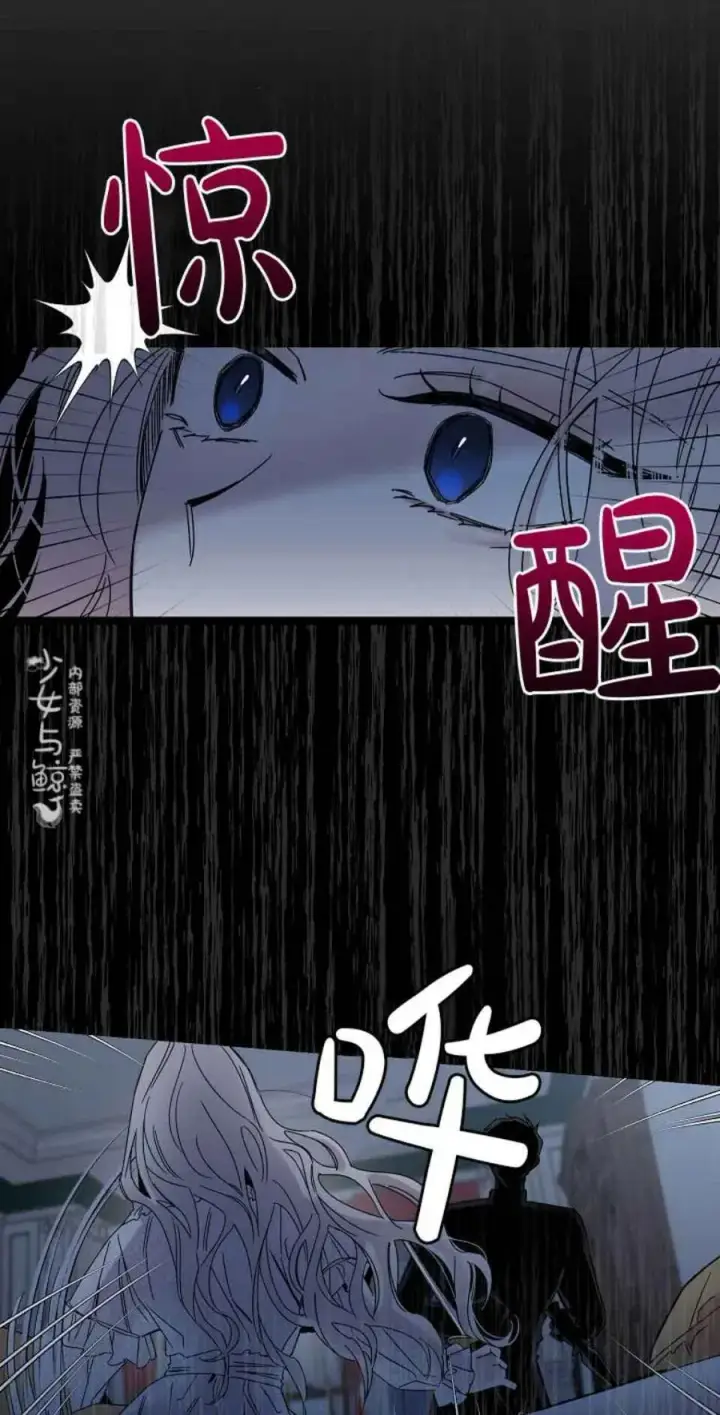 漫画《驯服暴君后逃跑了》5.深夜的暗杀第27张图