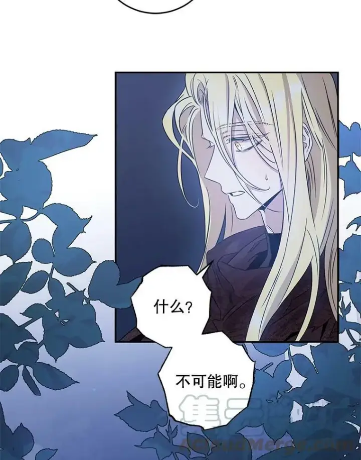 漫画《驯服暴君后逃跑了》63.艾西利特碎片第43张图