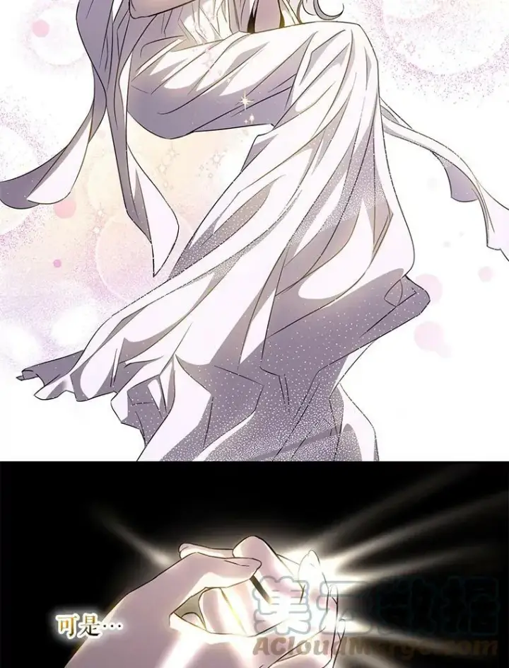 漫画《驯服暴君后逃跑了》63.艾西利特碎片第85张图