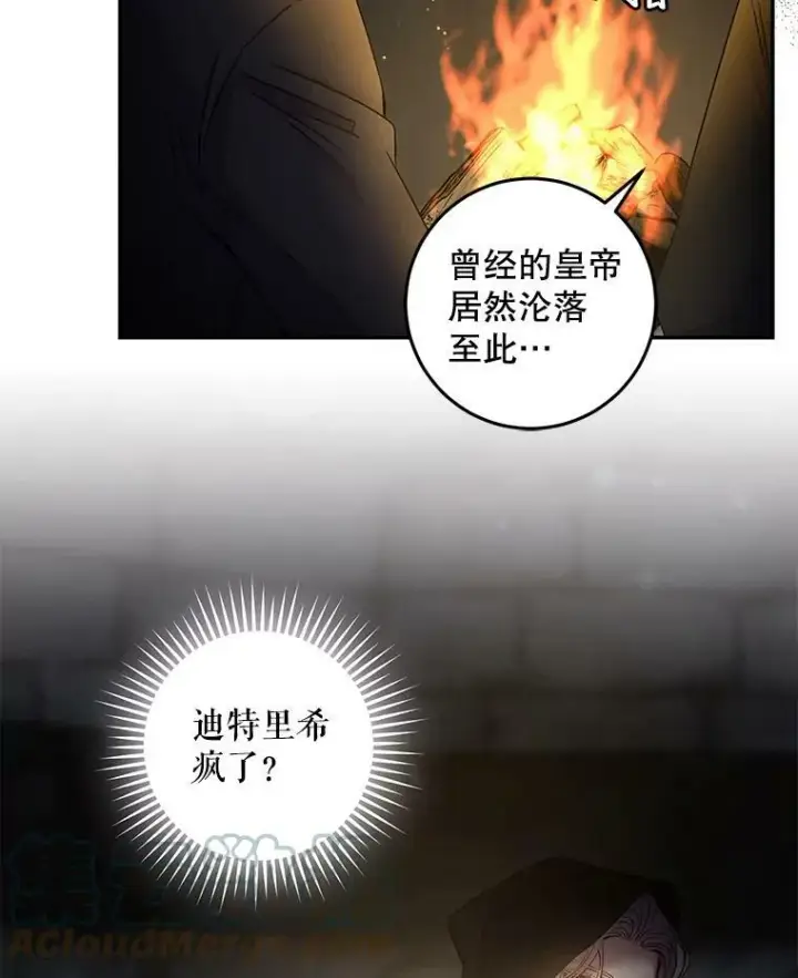 漫画《驯服暴君后逃跑了》64.预谋离开第76张图