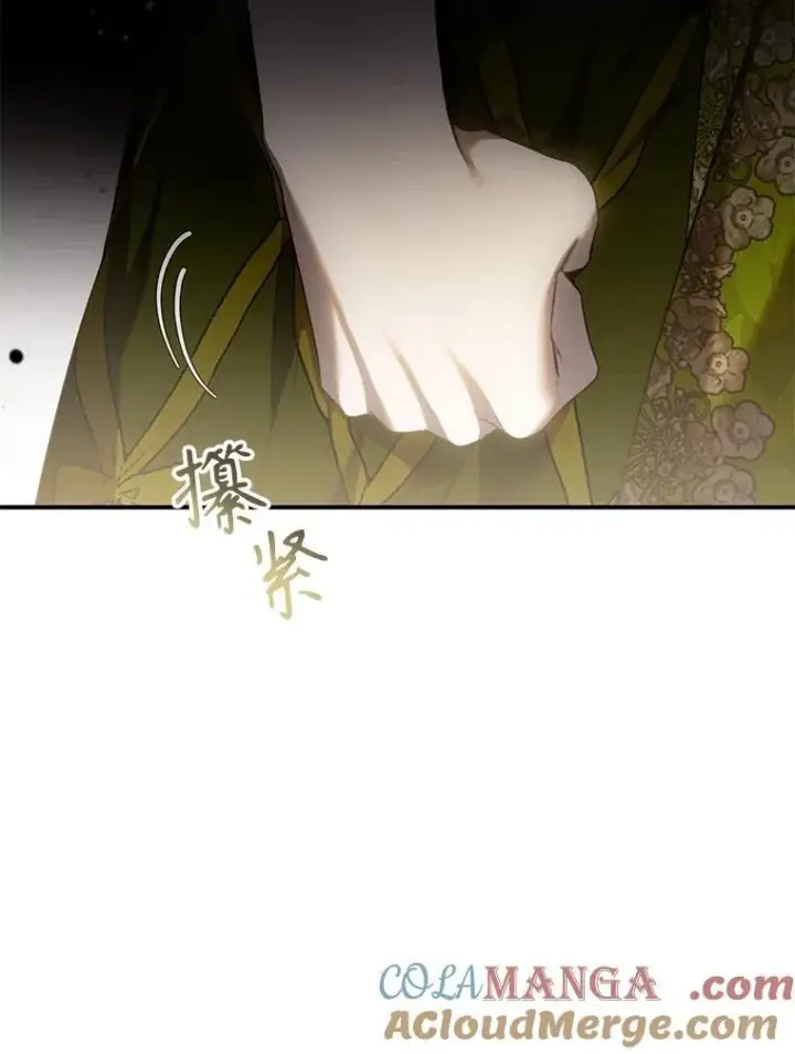 漫画《驯服暴君后逃跑了》108.集结各方第93张图