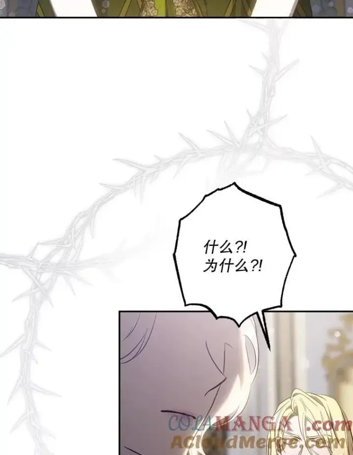 漫画《驯服暴君后逃跑了》108.集结各方第97张图