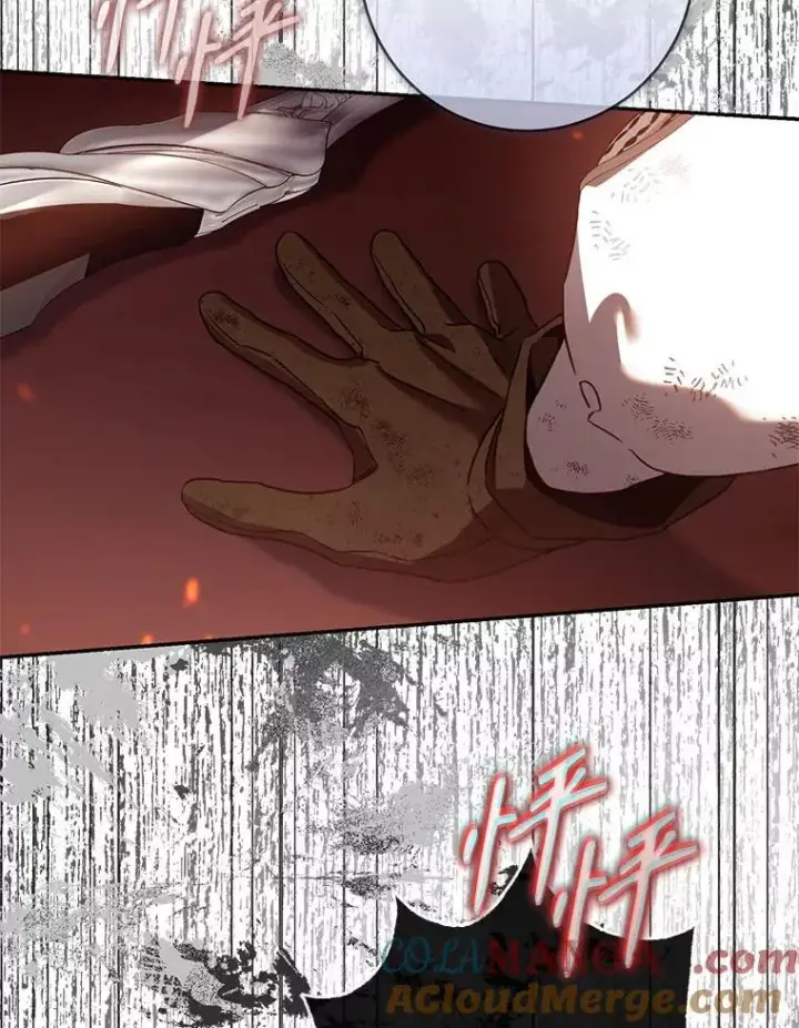 漫画《驯服暴君后逃跑了》117.卡胡的请求第93张图