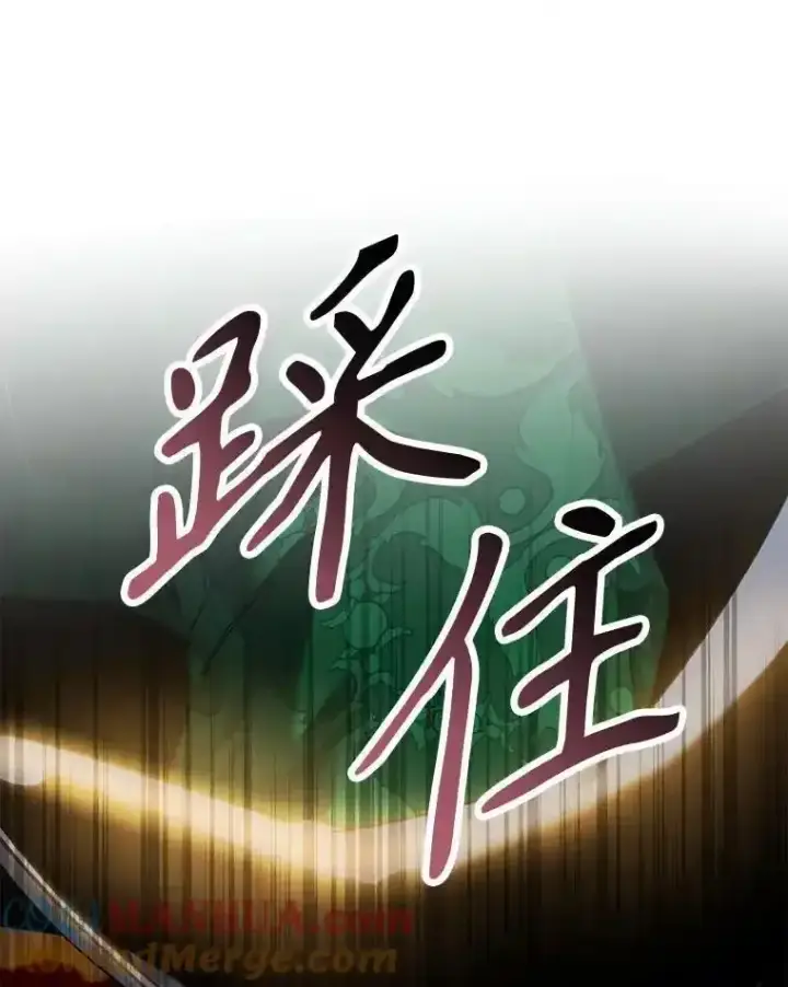 漫画《驯服暴君后逃跑了》94.关山阻隔第97张图