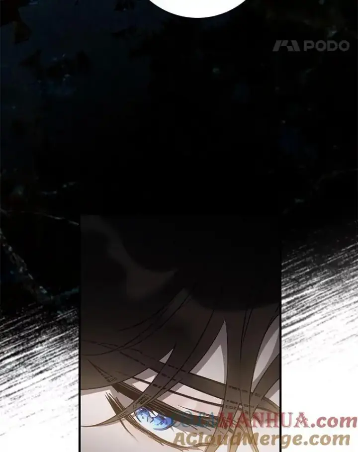 漫画《驯服暴君后逃跑了》91.二日凌空第41张图