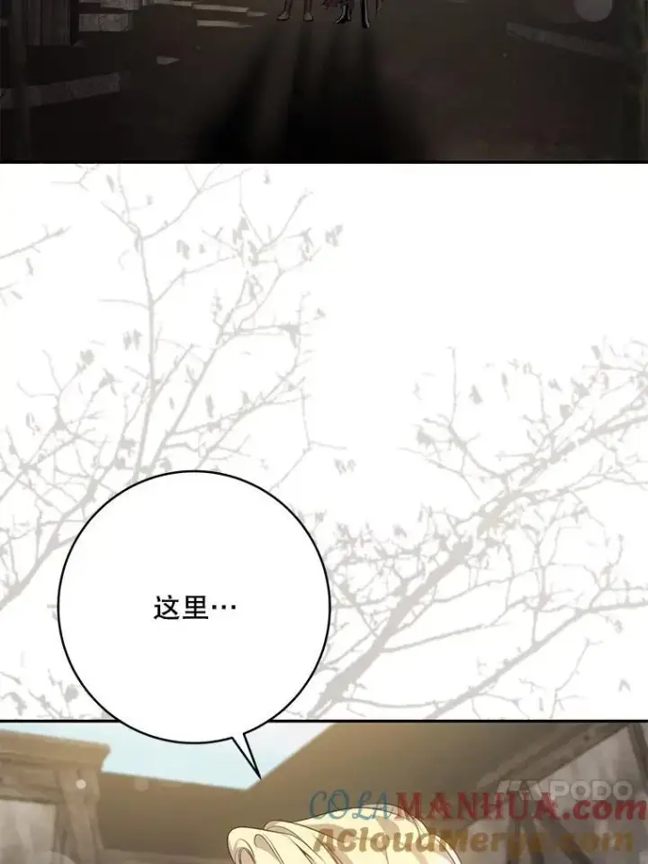 漫画《驯服暴君后逃跑了》92.追本溯源第76张图