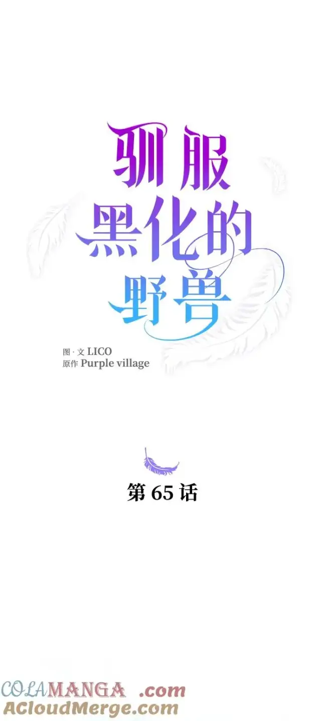漫画《驯服黑化的野兽》第65话第17张图