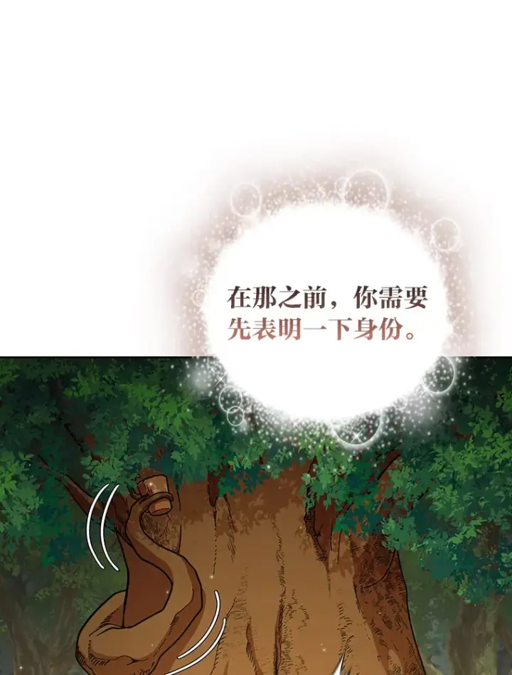 漫画《厌学魔法师想毕业》29.树精灵第77张图