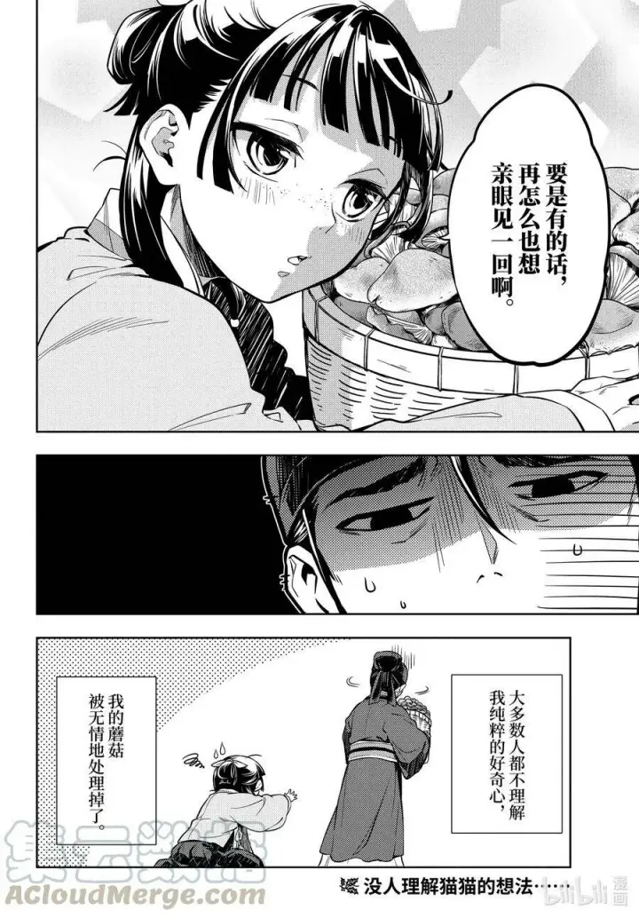 漫画《药屋少女的呢喃》45.5 冬人夏草（后篇②）第15张图