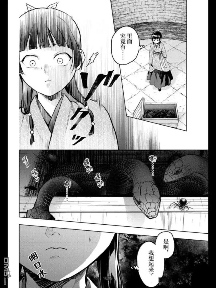 漫画《药屋少女的呢喃》第79.5话第16张图