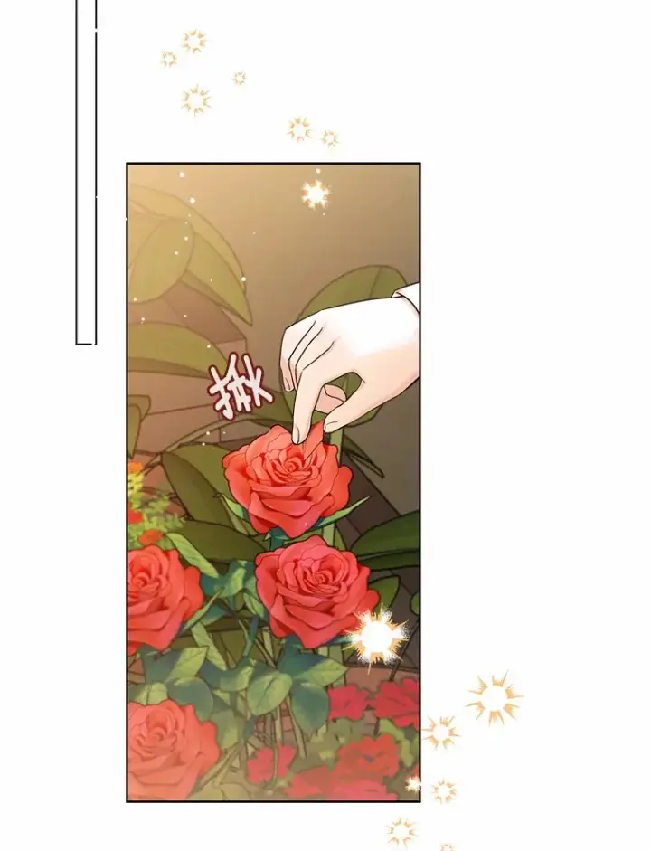 漫画《一不小心娶了女装大佬》22.曾经的花园第2张图