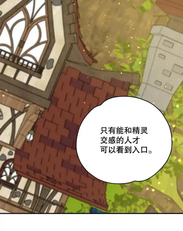 漫画《伊格列特》29.精灵契约第46张图