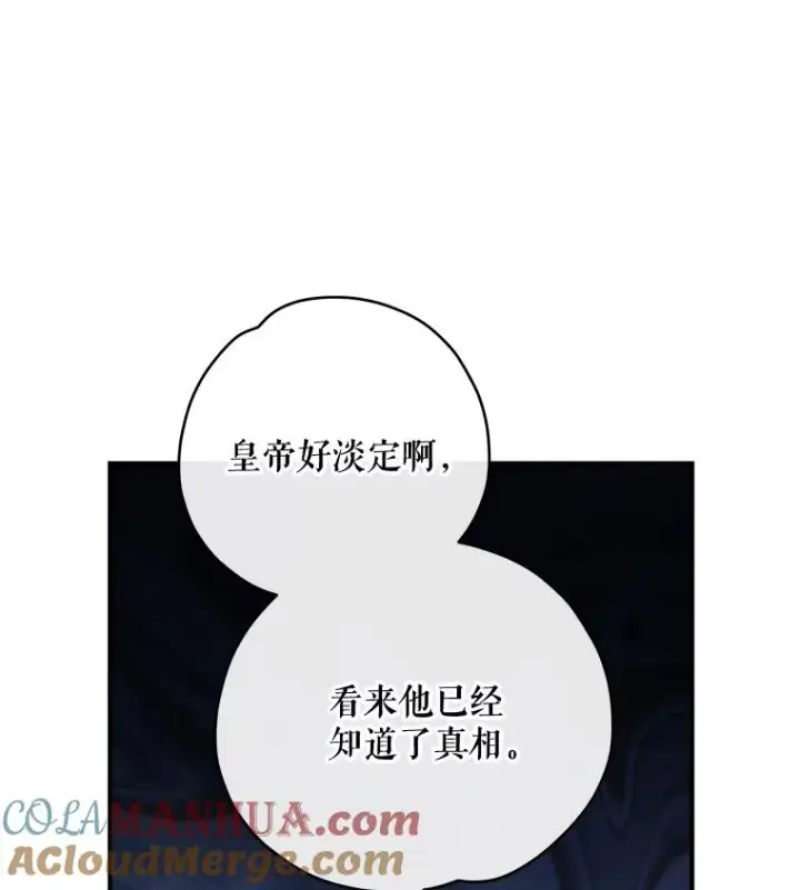 漫画《伊格列特》48.皇帝的陈述第97张图