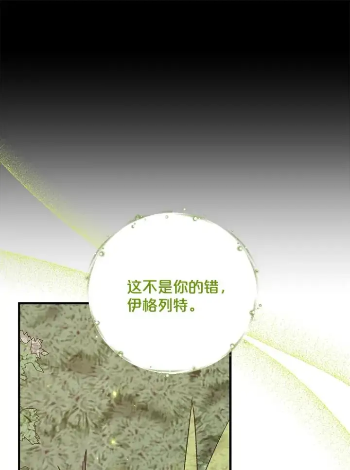 漫画《伊格列特》68.米嘉之死第94张图